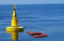 Corilla supply buoys for dolphin-safe tuna fishing